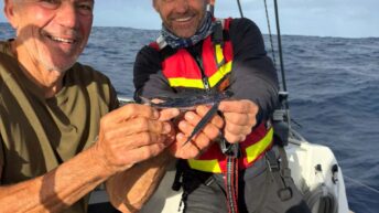 Fiske på Medelhavet under offshorekurs med More Sailing-1 14