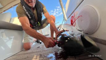 Fiske på Medelhavet under offshorekurs med More Sailing-1 14
