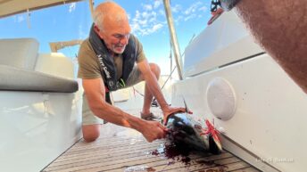 Fiske på Medelhavet under offshorekurs med More Sailing-1 14