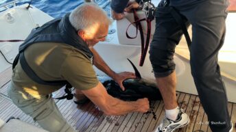 Fiske på Medelhavet under offshorekurs med More Sailing-1 14