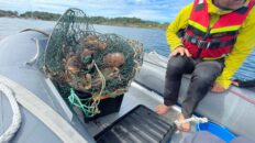 Fiske-skaldjur-Langoy-Stavanger-Stardust-