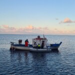 Lipariska öarna möte med fiskare på ankringsplats. Köper middag-1 Lipariska öarna möte med fiskare på ankringsplats. Köper middag-1